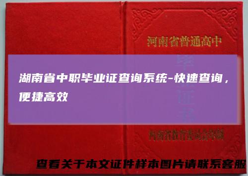 湖南省中职毕业证查询系统-快速查询，便捷高效