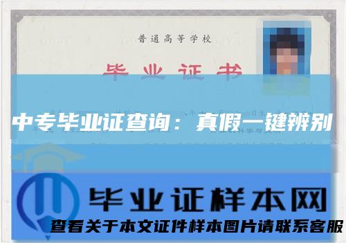 中专毕业证查询:真假一键辨别