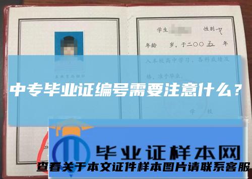 中专毕业证编号需要注意什么?