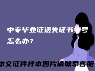 中专毕业证遗失证书编号怎么办？