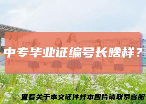 中专毕业证编号长啥样？
