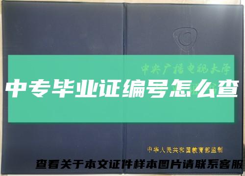 中专毕业证编号怎么查