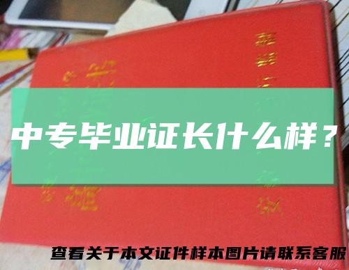 中专毕业证长什么样?
