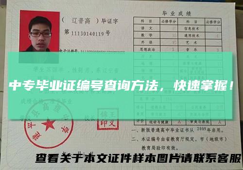 中专毕业证编号查询方法，快速掌握！