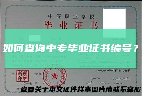 如何查询中专毕业证书编号？