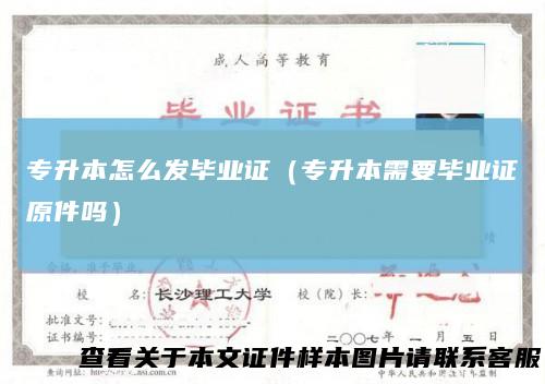 专升本怎么发毕业证(专升本需要毕业证原件吗)