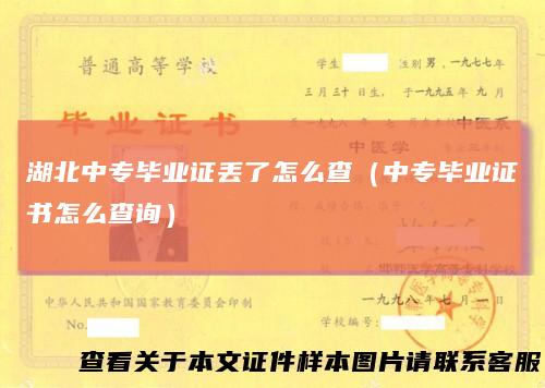 湖北中专毕业证丢了怎么查（中专毕业证书怎么查询）
