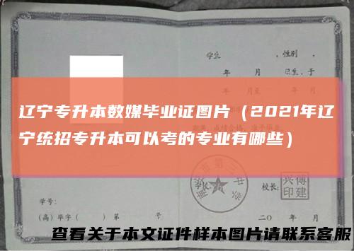 辽宁专升本数媒毕业证图片(2021年辽宁统招专升本可以考的专业有哪些)