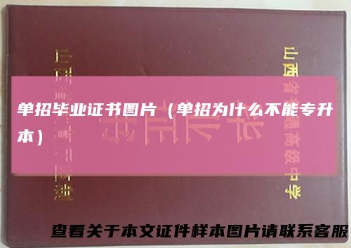 单招毕业证书图片(单招为什么不能专升本)