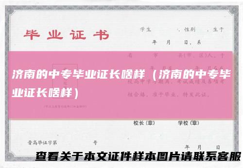 济南的中专毕业证长啥样(济南的中专毕业证长啥样)