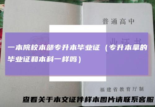 一本院校本部专升本毕业证(专升本拿的毕业证和本科一样吗)