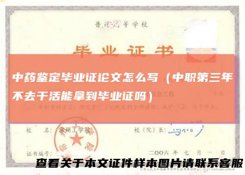 中药鉴定毕业证论文怎么写(中职第三年不去干活能拿到毕业证吗)
