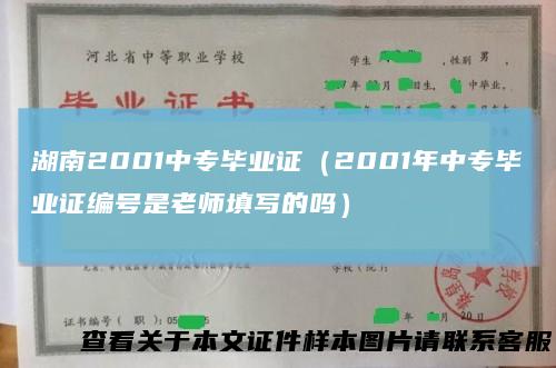 湖南2001中专毕业证(2001年中专毕业证编号是老师填写的吗)
