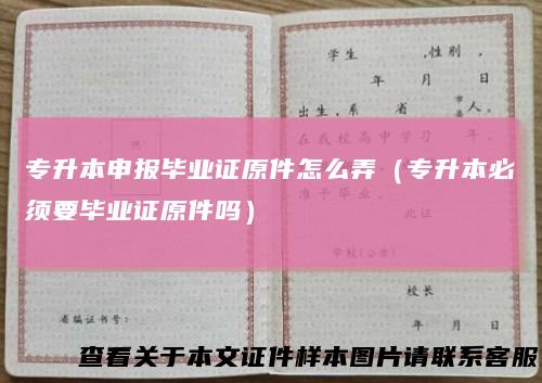 专升本申报毕业证原件怎么弄（专升本必须要毕业证原件吗）