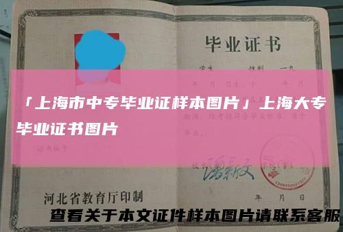 「上海市中专毕业证样本图片」上海大专毕业证书图片