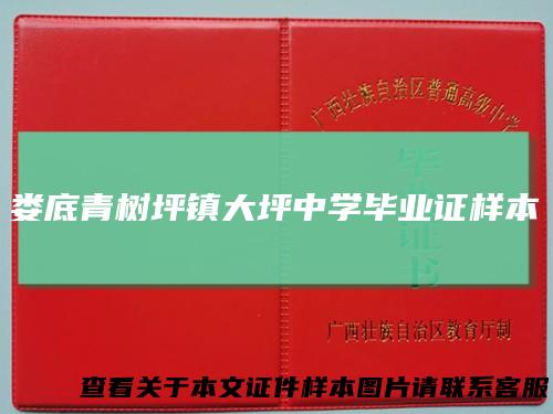 娄底青树坪镇大坪中学毕业证样本