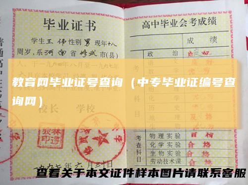 教育网毕业证号查询（中专毕业证编号查询网）