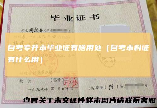 自考专升本毕业证有啥用处（自考本科证有什么用）