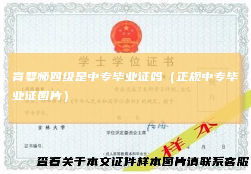 育婴师四级是中专毕业证吗（正规中专毕业证图片）