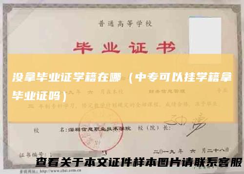 没拿毕业证学籍在哪（中专可以挂学籍拿毕业证吗）
