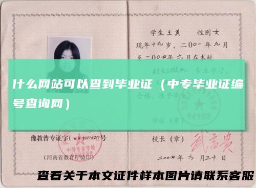 什么网站可以查到毕业证（中专毕业证编号查询网）