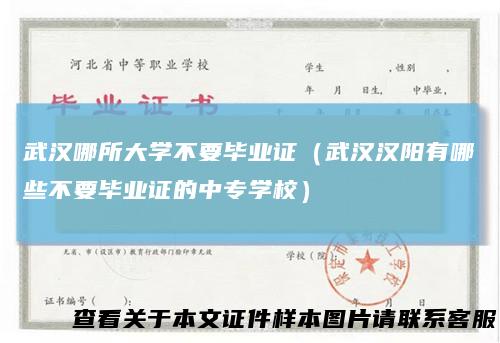 武汉哪所大学不要毕业证（武汉汉阳有哪些不要毕业证的中专学校）