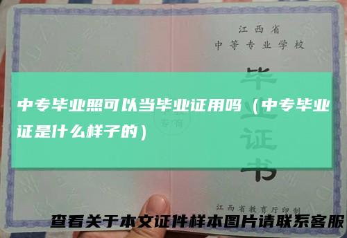 中专毕业照可以当毕业证用吗(中专毕业证是什么样子的)