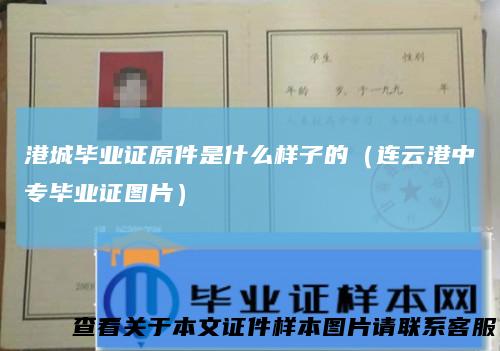港城毕业证原件是什么样子的（连云港中专毕业证图片）