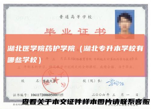 湖北医学院药护学院（湖北专升本学校有哪些学校）