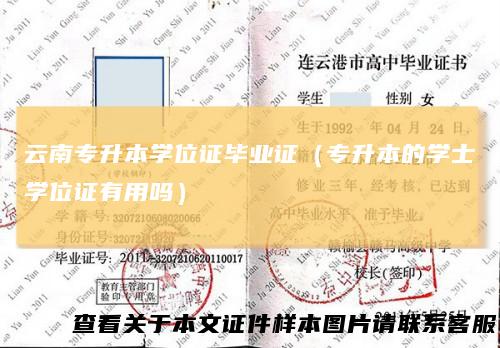 云南专升本学位证毕业证(专升本的学士学位证有用吗)