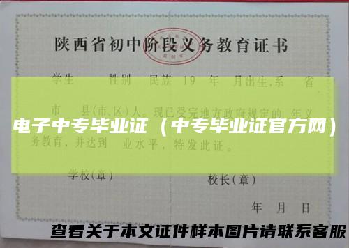 电子中专毕业证（中专毕业证官方网）