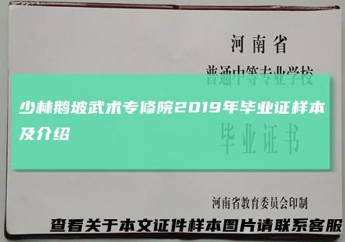 少林鹅坡武术专修院2019年毕业证样本及介绍