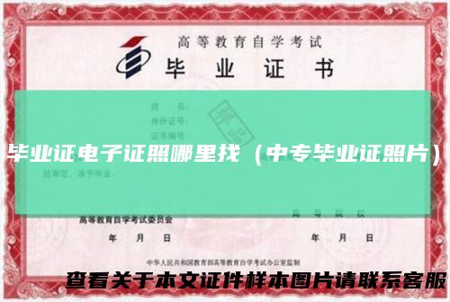 毕业证电子证照哪里找(中专毕业证照片)