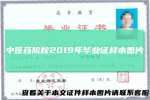 中医药院校2019年毕业证样本图片