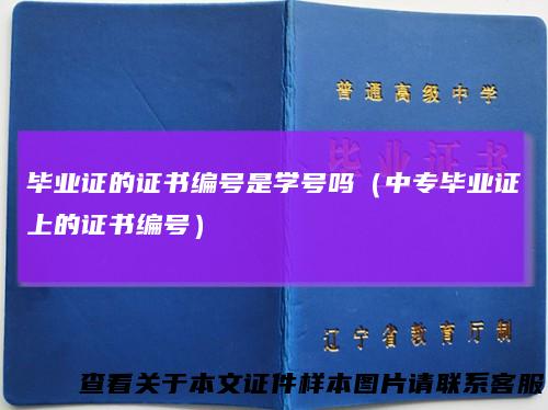 毕业证的证书编号是学号吗(中专毕业证上的证书编号)