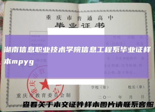 湖南信息职业技术学院信息工程系毕业证样本mpyg