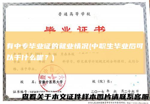 有中专毕业证的就业情况(中职生毕业后可以干什么呢？)