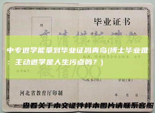 中专退学能拿到毕业证吗青岛(博士毕业难：主动退学是人生污点吗？)
