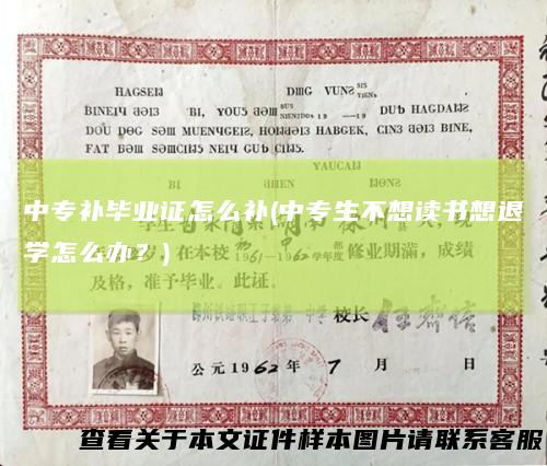 中专补毕业证怎么补(中专生不想读书想退学怎么办?)