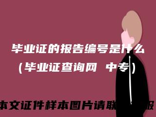 毕业证的报告编号是什么(毕业证查询网中专)