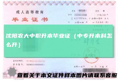 沈阳农大中职升本毕业证（中专升本科怎么升）