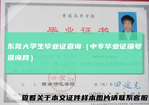 东莞大学生毕业证查询（中专毕业证编号查询网）