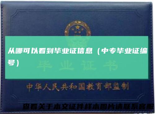 从哪可以看到毕业证信息（中专毕业证编号）