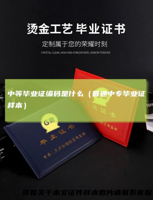 中等毕业证编码是什么（普通中专毕业证样本）