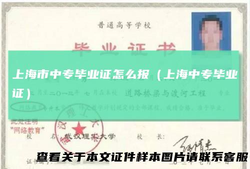 上海市中专毕业证怎么报(上海中专毕业证)