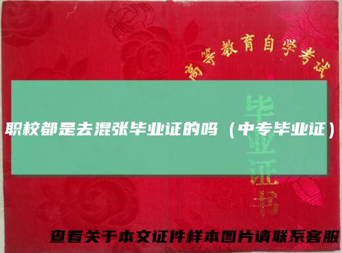 职校都是去混张毕业证的吗（中专毕业证）