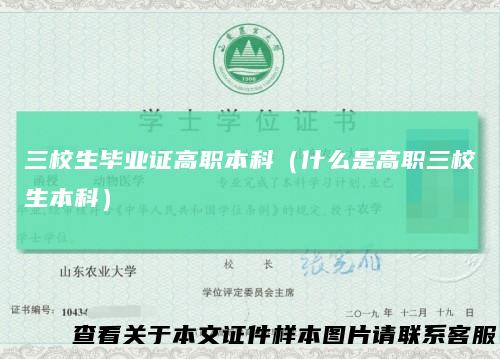 三校生毕业证高职本科(什么是高职三校生本科)