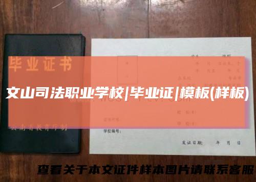 文山司法职业学校|毕业证|模板(样板)