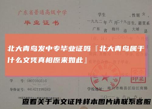 北大青鸟发中专毕业证吗『北大青鸟属于什么文凭真相原来如此』