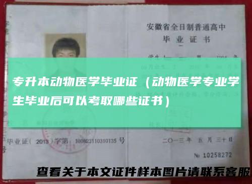 专升本动物医学毕业证(动物医学专业学生毕业后可以考取哪些证书)